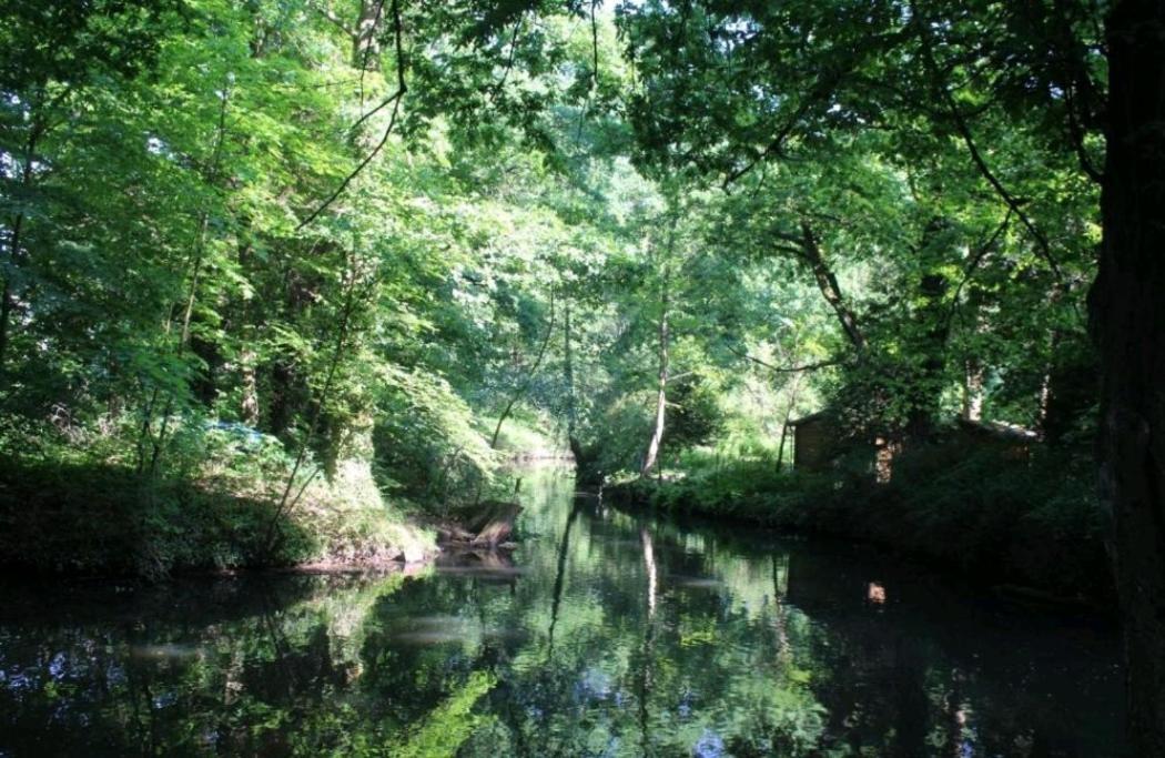 Spreewald Ferienwohnung Noack Люббен Экстерьер фото